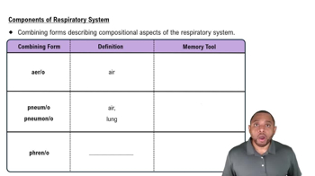 Components of Respiratory System Concept 1