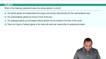 Salivary Glands Example 6