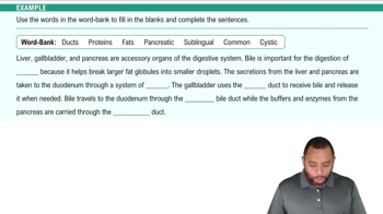 Liver, Gallbladder, and Pancreas Example 7