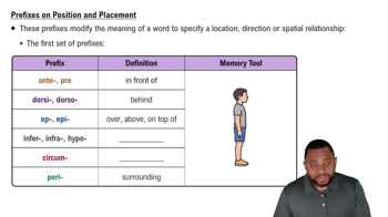 Prefixes on Position and Placement Concept 3