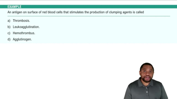 Processes and Pathology Example 2