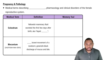 Pregnancy & Pathology Concept 1