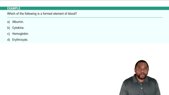 Introduction to Blood Components Example 1