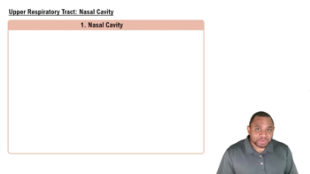 Upper Respiratory Tract: Nasal Cavity Concept 3