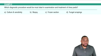 Medical Procedures Example 2