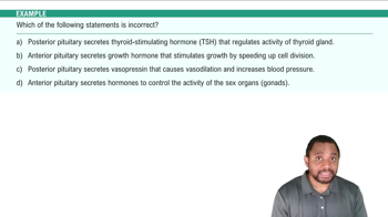 Pituitary Gland Example 2