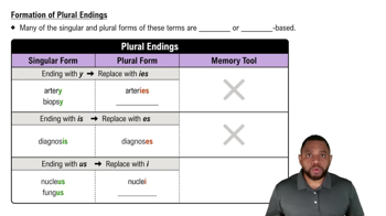 Formation of Plural Ending Concept 1