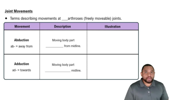 Joint Movements Concept 2