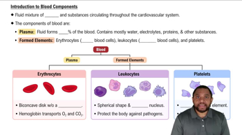 Introduction to Blood Components Concept 1