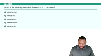 Formation of Plural Ending Example 1
