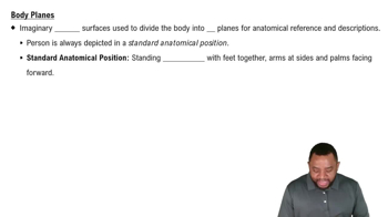 Body Planes Concept 1