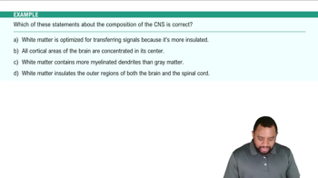 CNS: Composition Example 1