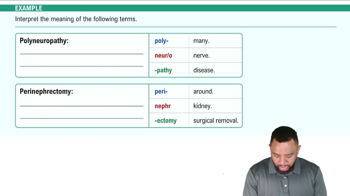 Defining Medical Terms Example 2