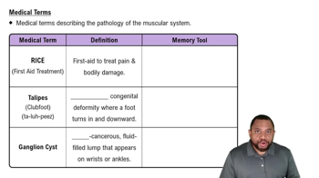 Medical Terms Concept 1