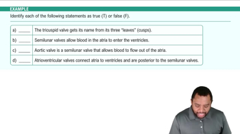 Heart Valves Example 2