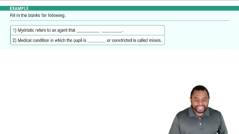 Functions and Pathology Example 2