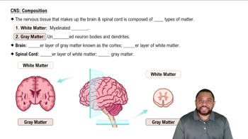 CNS: Composition Concept 1
