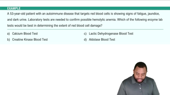 Diagnostic and Laboratory Terms Example 3