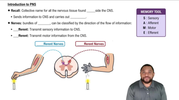 Introduction to PNS Concept 1