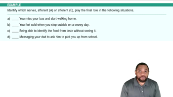 Introduction to PNS Example 1