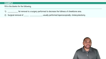 Components of Digestive System Example 1