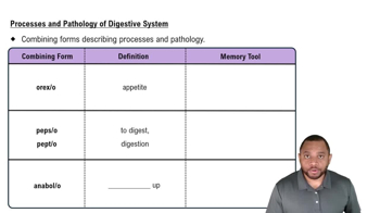 Processes and Pathology of Digestive System Concept 2