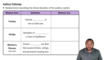 Auditory Pathology Concept 1