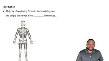 Introduction Concept 1