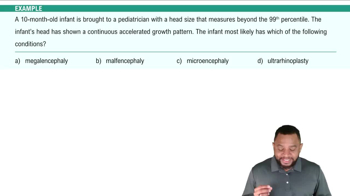 Prefixes That Indicate a Quality Example 2