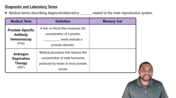 Diagnostic and Laboratory Terms Concept 2