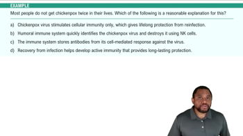 Immune Response Processes Example 2