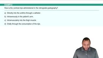 Urinary Diagnostic and Laboratory Terms Example 2