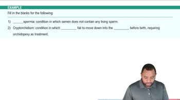 Components and Pathology of Male Reproductive System Example 1