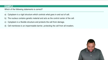 Cell Level Example 1