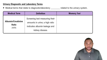 Urinary Diagnostic and Laboratory Terms Concept 2