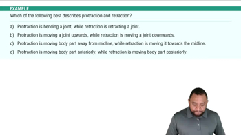 Joint Movements Example 2