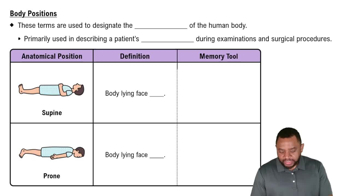 Body Positions Concept 3