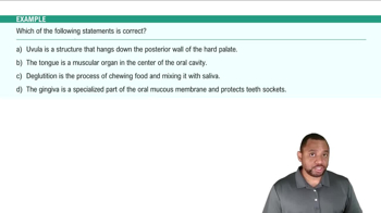 Oral Cavity Example 2