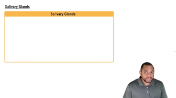 Salivary Glands Concept 6