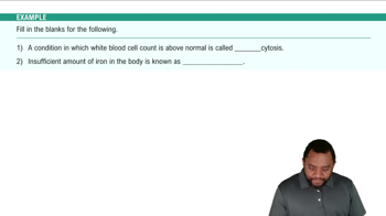 Components of the Blood System Example 1
