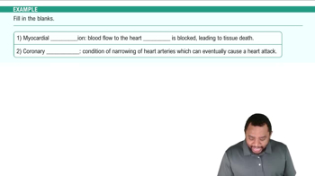 Pathology of Cardiovascular System  Example 2