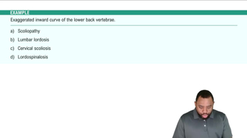 Characteristics and Conditions Example 2