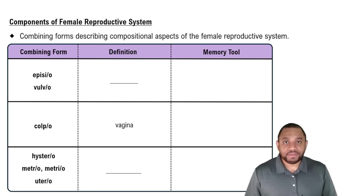 Components of Female Reproductive System Concept 1