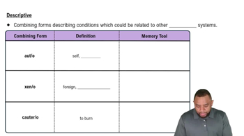 Descriptive Concept 4