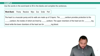 Introduction to Heart Structure Example 1
