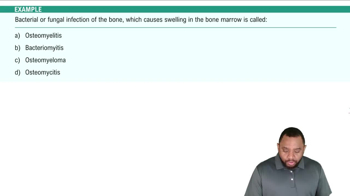 Introduction Example 1