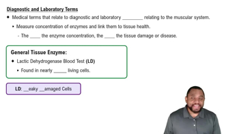 Diagnostic and Laboratory Terms Concept 3