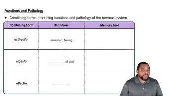 Functions and Pathology Concept 2