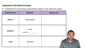 Components of the Endocrine System Concept 1