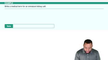 General Use Suffixes Example 1